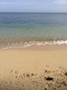 海を守ろう